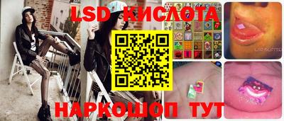 мяу мяу мука Будённовск