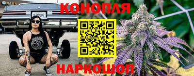 мяу мяу мука Будённовск