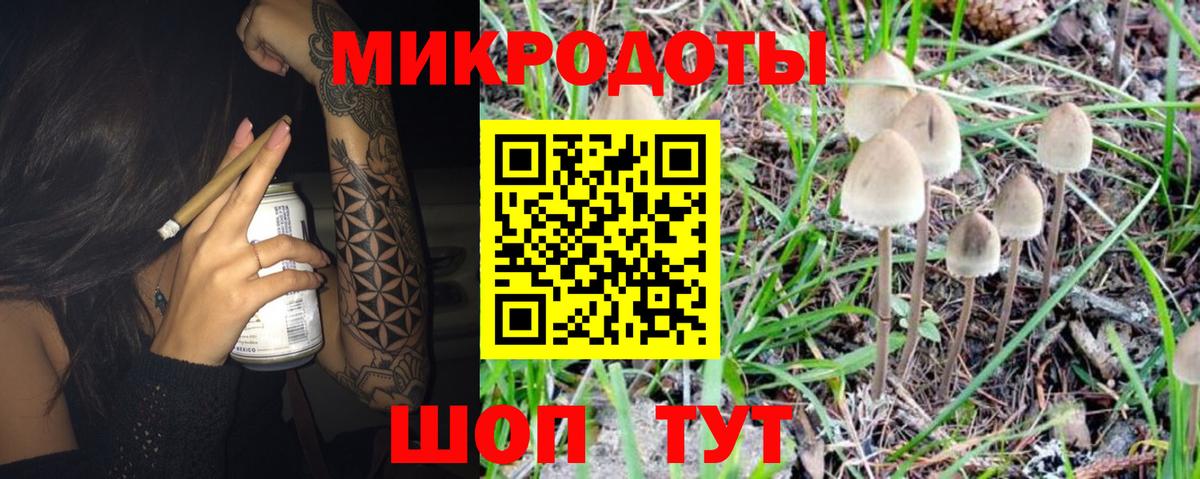 Псилоцибиновые грибы MAGIC MUSHROOMS Чита
