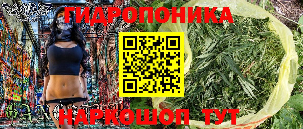 Бошки марихуана Amnesia  Вход с VPN  Марихуана OG Kush  Чита  Марихуана OG Kush 